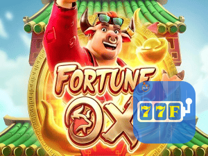 77F login — painel de entrada no app oficial